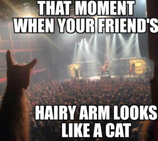 funny picdump 54 pics 3.html - 54 HD Photos | Premium Gallery 2015