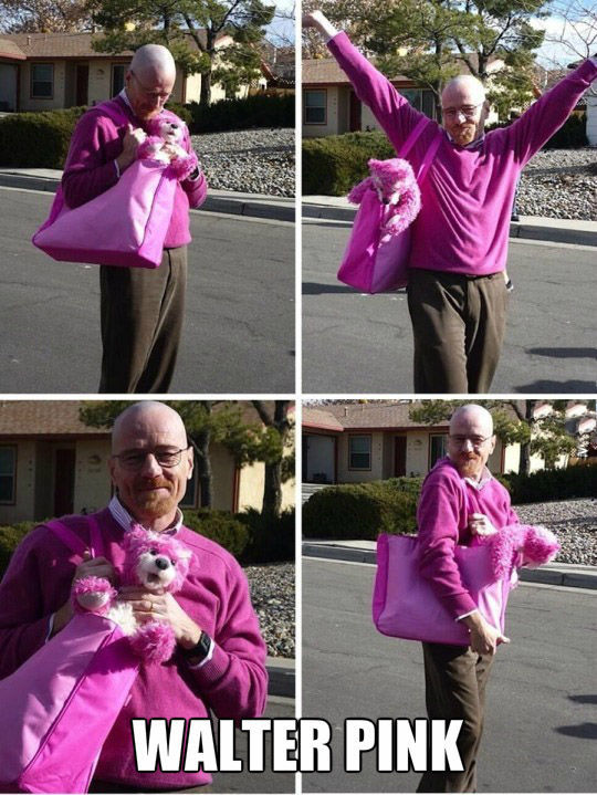 funny picdump 54 pics 3.html - 54 HD Photos | Premium Gallery 2015