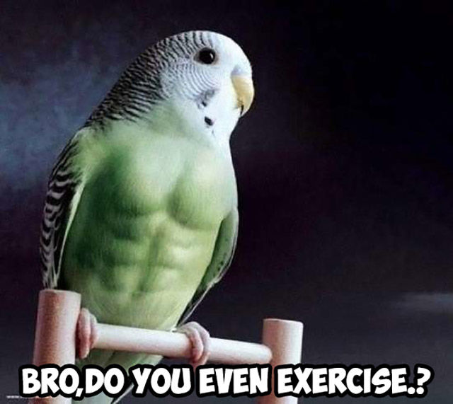 funny picdump 52 pics 13.html - 52 HD Photos | Premium Gallery 2015