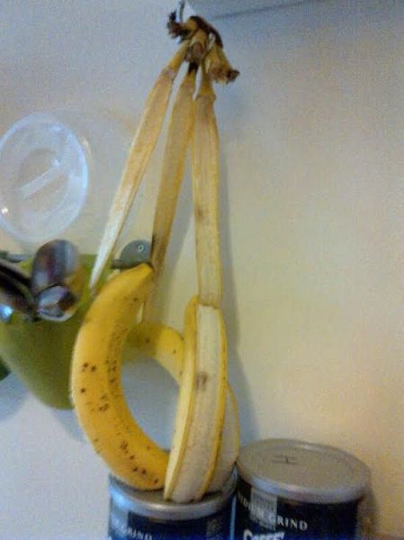 funny picdump 52 pics 13.html - 52 HD Photos | Premium Gallery 2015