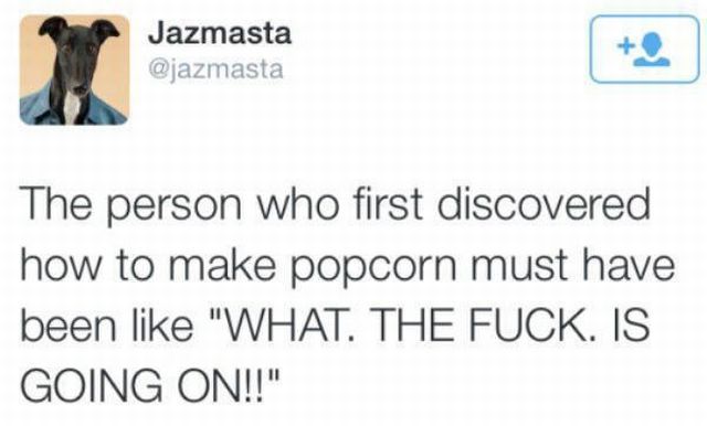 funny picdump 52 pics 13.html - 52 HD Photos | Premium Gallery 2015