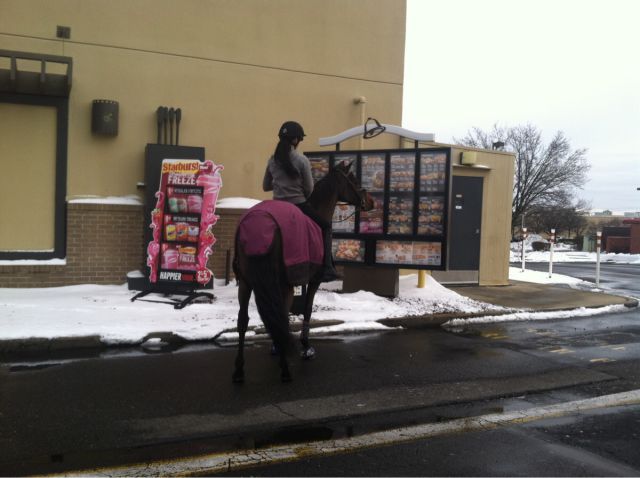 morning picdump 52 pics 24.html - 52 HD Photos | Premium Gallery 2015