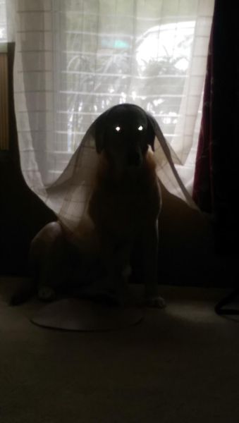 morning picdump 52 pics 24.html - 52 HD Photos | Premium Gallery 2015