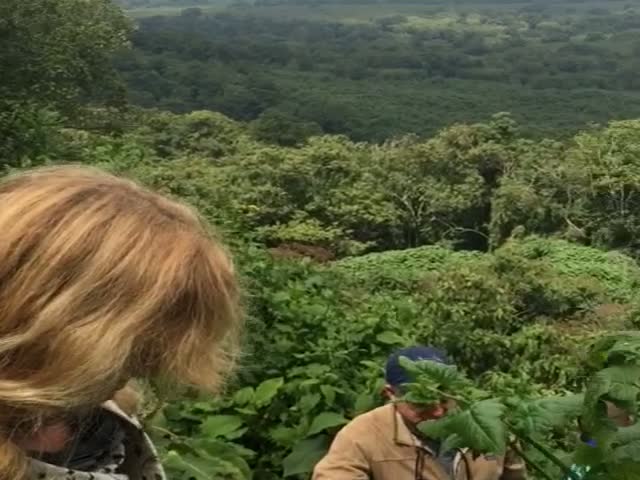 page,21,top 500 videos of the year 2015.html - 1 HD Video | Premium Gallery 2015