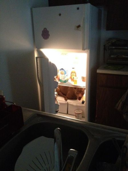 morning picdump 52 pics 26.html - 52 HD Photos | Premium Gallery 2015