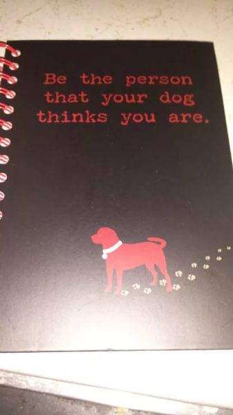 morning picdump 52 pics 26.html - 52 HD Photos | Premium Gallery 2015