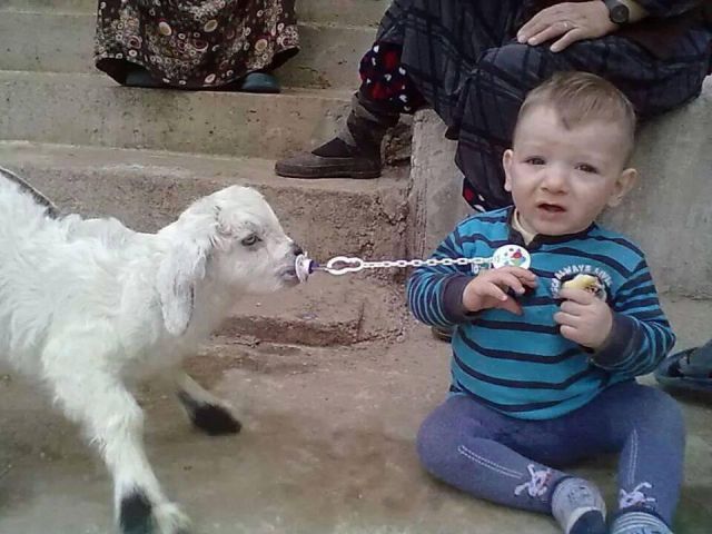 morning picdump 52 pics 26.html - 52 HD Photos | Premium Gallery 2015