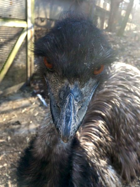 morning picdump 52 pics 26.html - 52 HD Photos | Premium Gallery 2015