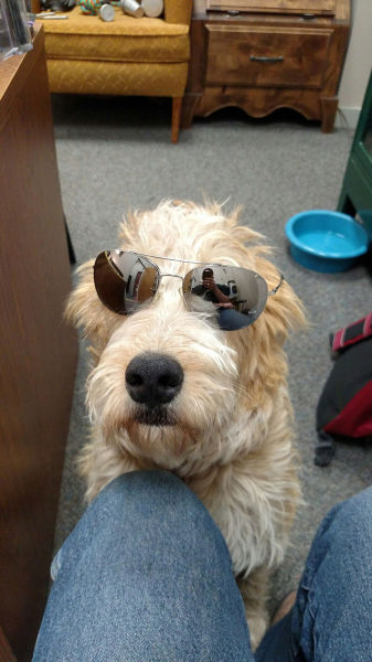 morning picdump 52 pics 18.html - 52 HD Photos | Premium Gallery 2015