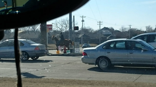 morning picdump 52 pics 18.html - 52 HD Photos | Premium Gallery 2015