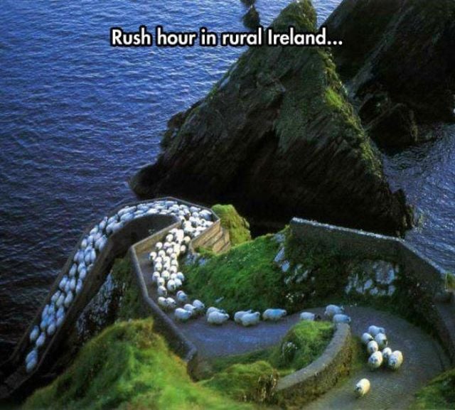 daily picdump 91 pics 23.html - 91 HD Photos | Premium Gallery 2015