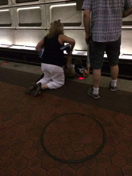 daily picdump 91 pics 23.html - 91 HD Photos | Premium Gallery 2015