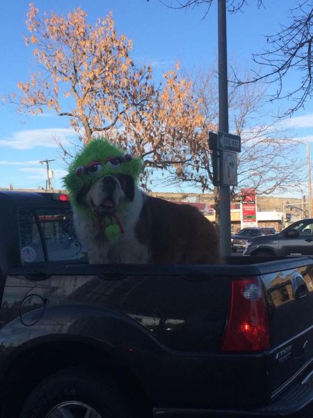 daily picdump 91 pics 23.html - 91 HD Photos | Premium Gallery 2015