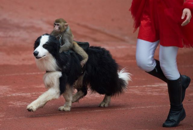 daily picdump 91 pics 23.html - 91 HD Photos | Premium Gallery 2015