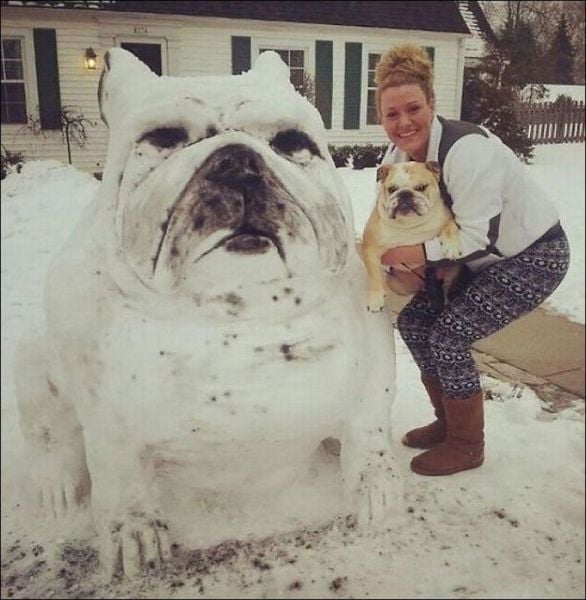 daily picdump 91 pics 23.html - 91 HD Photos | Premium Gallery 2015