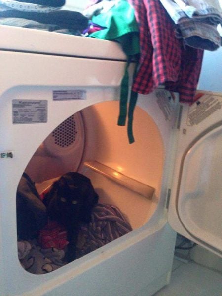 daily picdump 91 pics 23.html - 91 HD Photos | Premium Gallery 2015