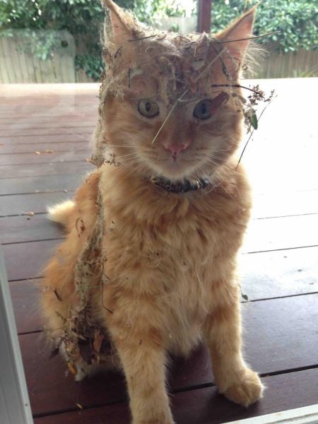 daily picdump 91 pics 23.html - 91 HD Photos | Premium Gallery 2015