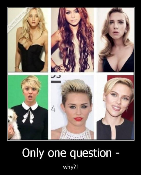 page,9,top 450 funny pics of the year 2015.html - 1 HD Photos | Premium Gallery 2015