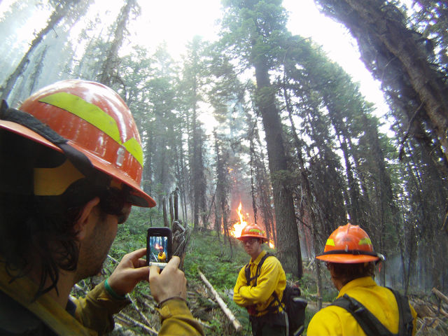 morning picdump 57 pics 1.html - 57 HD Photos | Premium Gallery 2015