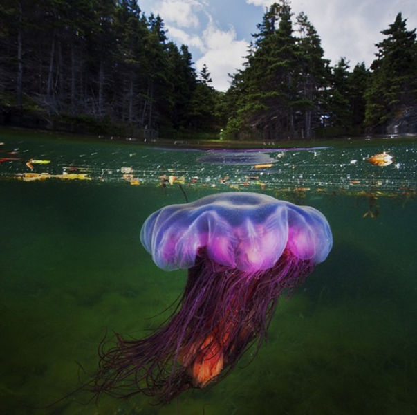 morning picdump 57 pics 1.html - 57 HD Photos | Premium Gallery 2015