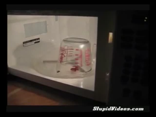 page,21,top 500 videos of the year 2015.html - 1 HD Video | Premium Gallery 2015