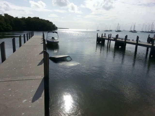 daily picdump weekend edition 67 pics 15.html - 67 HD Photos | Premium Gallery 2015