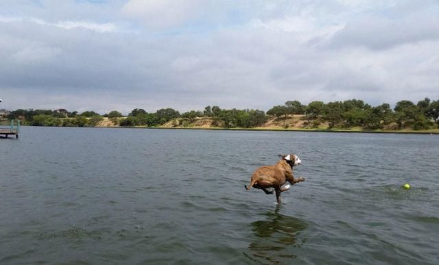 daily picdump weekend edition 67 pics 15.html - 67 HD Photos | Premium Gallery 2015