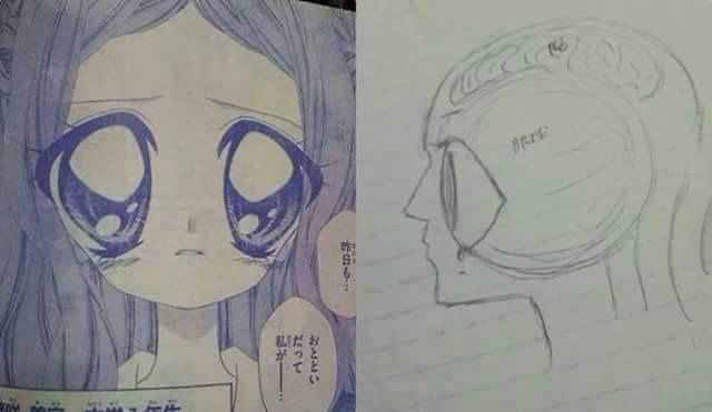 page,10,top 450 funny pics of the year 2015.html - 1 HD Photos | Premium Gallery 2015