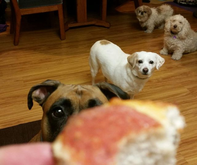 daily picdump 95 pics 4.html - 95 HD Photos | Premium Gallery 2015