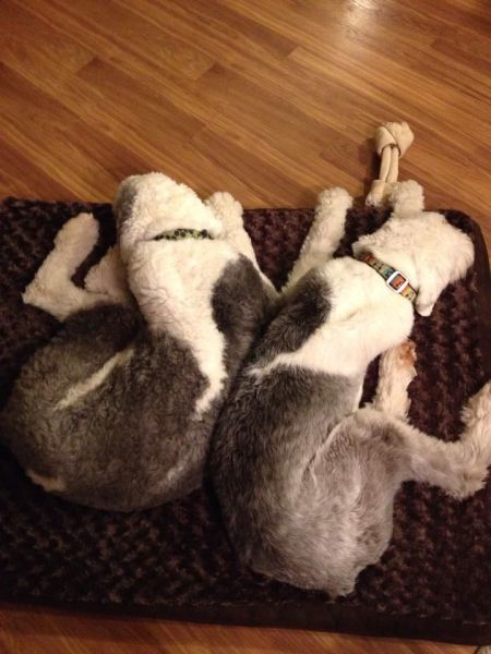daily picdump 95 pics 4.html - 95 HD Photos | Premium Gallery 2015