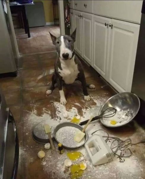 daily picdump 95 pics 4.html - 95 HD Photos | Premium Gallery 2015