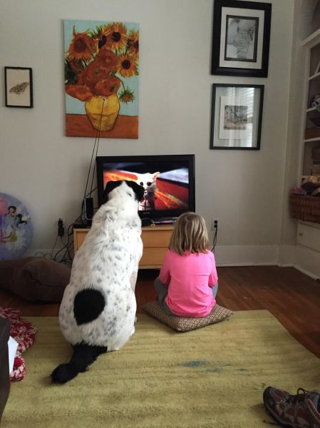 daily picdump 95 pics 4.html - 95 HD Photos | Premium Gallery 2015