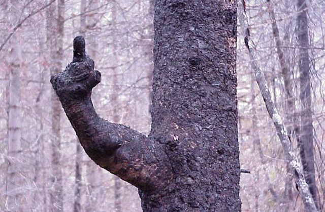 daily picdump 95 pics 4.html - 95 HD Photos | Premium Gallery 2015