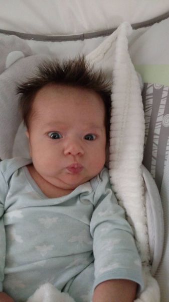daily picdump 95 pics 4.html - 95 HD Photos | Premium Gallery 2015