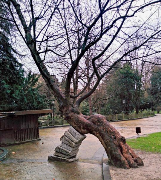 morning picdump 52 pics 1.html - 52 HD Photos | Premium Gallery 2015