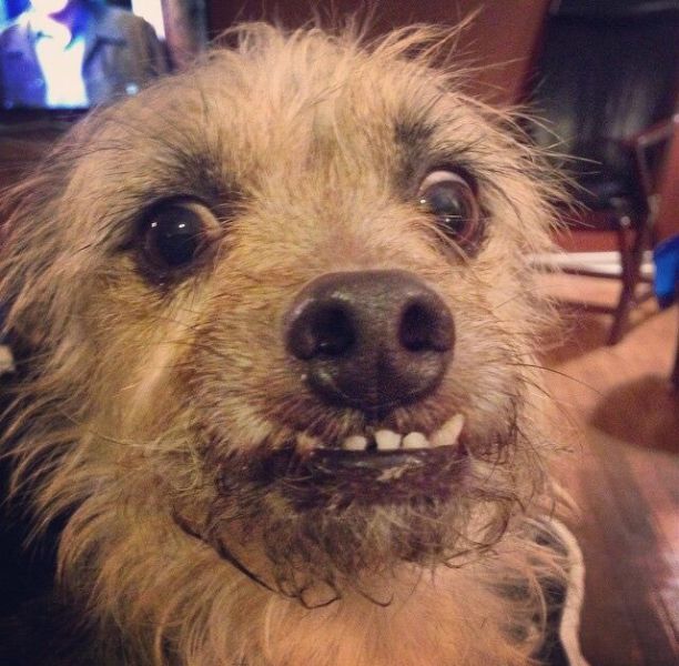 morning picdump 52 pics 1.html - 52 HD Photos | Premium Gallery 2015