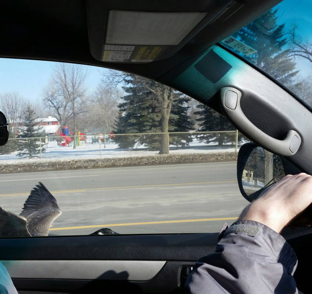 morning picdump 52 pics 1.html - 52 HD Photos | Premium Gallery 2015