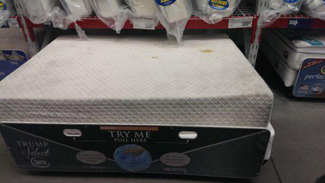 Hell Nope, Not in a Million Years!