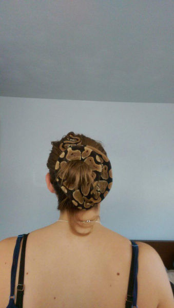 Hell Nope, Not in a Million Years!