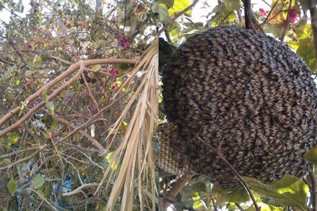 Hell Nope, Not in a Million Years!