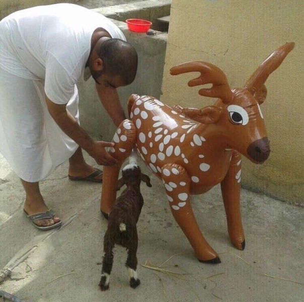 morning picdump 54 pics 9.html - 54 HD Photos | Premium Gallery 2015