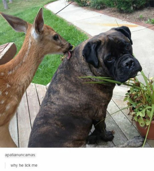 daily picdump 87 pics 82.html - 87 HD Photos | Premium Gallery 2015