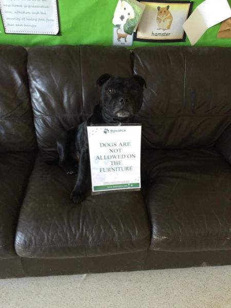 daily picdump 87 pics 82.html - 87 HD Photos | Premium Gallery 2015