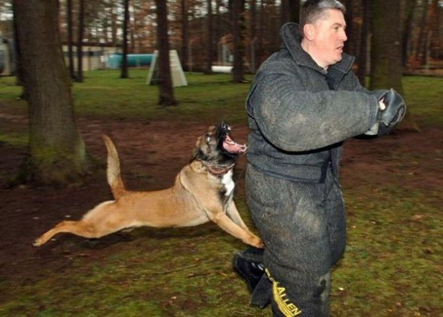 morning picdump 57 pics 7.html - 57 HD Photos | Premium Gallery 2015