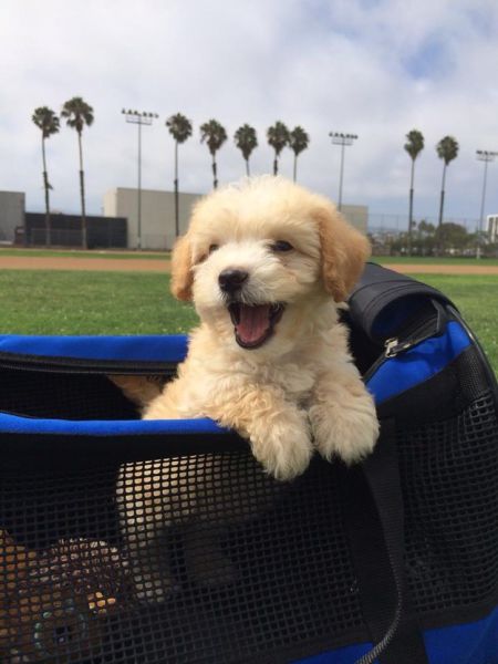 morning picdump 57 pics 7.html - 57 HD Photos | Premium Gallery 2015