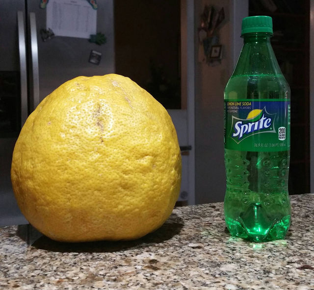 daily picdump weekend edition 92 pics 41.html - 92 HD Photos | Premium Gallery 2015