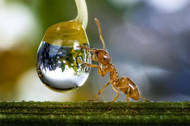 daily picdump weekend edition 92 pics 41.html - 92 HD Photos | Premium Gallery 2015