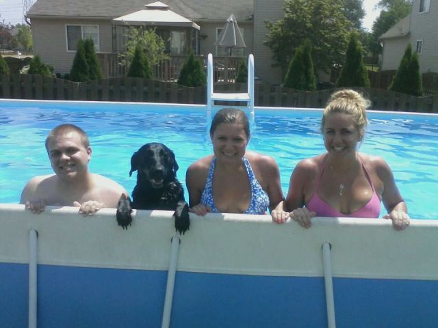 daily picdump weekend edition 92 pics 41.html - 92 HD Photos | Premium Gallery 2015