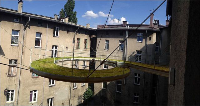 daily picdump weekend edition 92 pics 41.html - 92 HD Photos | Premium Gallery 2015