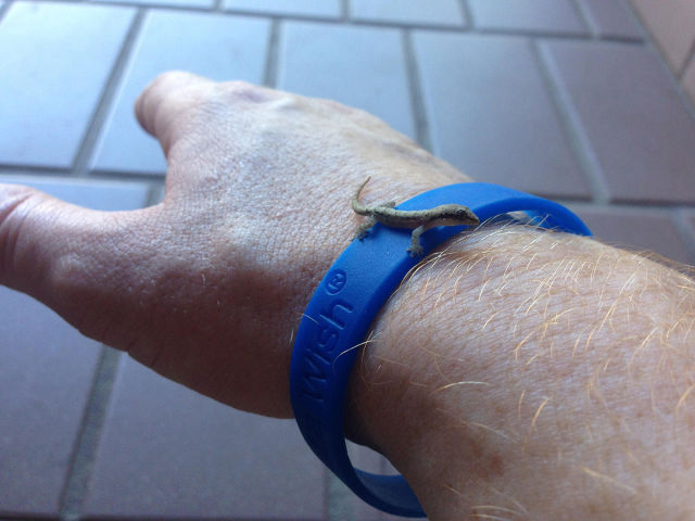 daily picdump weekend edition 92 pics 41.html - 92 HD Photos | Premium Gallery 2015